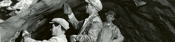 Anii 1910 - 1935